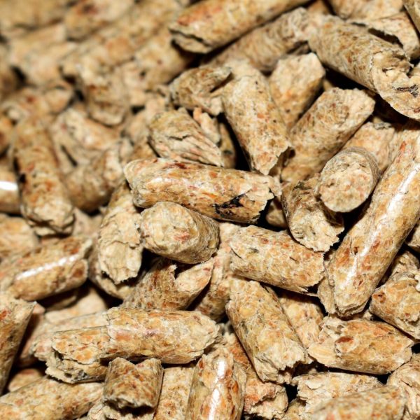 pellets_4844847